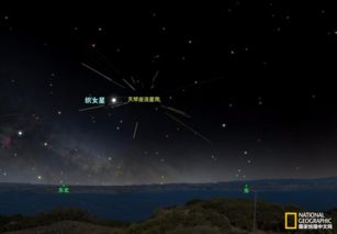 新澳免费资料大全100%|月夜下的星辰与梦想_战略版.4.327