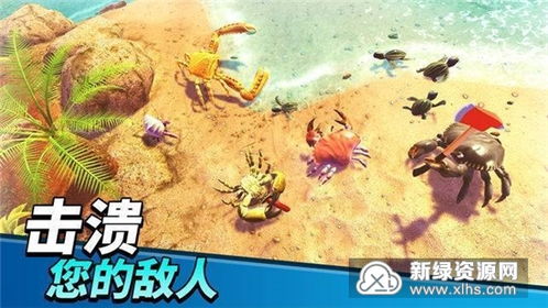 螃蟹之王最新版无限钻石金币版下载无广告-螃蟹之王最新版无限金币内购版下载v.6.25 螃蟹之王最新版无限钻石金币版下载无广告-螃蟹之王最新版无限金币内购版下载v.6.25