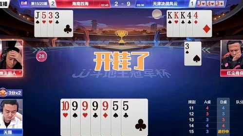 管家婆精准资料免费大全186期|经典解释落实_适配款.6.223