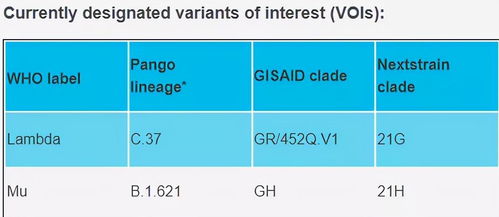 2004奥门最新资料|科学数据解释落实_扩展版.1.900 2004奥门最新资料|科学数据解释落实_扩展版.1.900