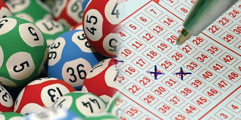 新澳门六开彩天天正版免费资料|轻松玩转生活小技巧_单一版.6.184