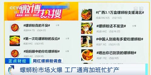 奥门最准精选免费资料大全|未来解答解释落实_工具包.4.298